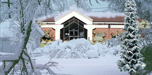 Young Israel in the snow